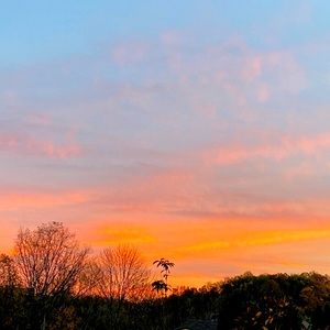 Meet your Posher, Adrienne